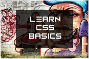 Learn CSS Basics